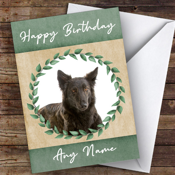 Dutch Shepherd Dog Green Animal Customised Birthday Card