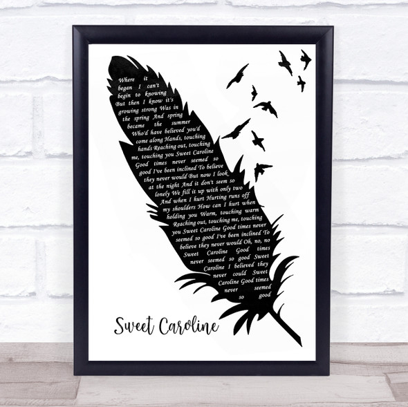 Neil Diamond Sweet Caroline Black & White Feather & Birds Song Lyric Quote Music Framed Print