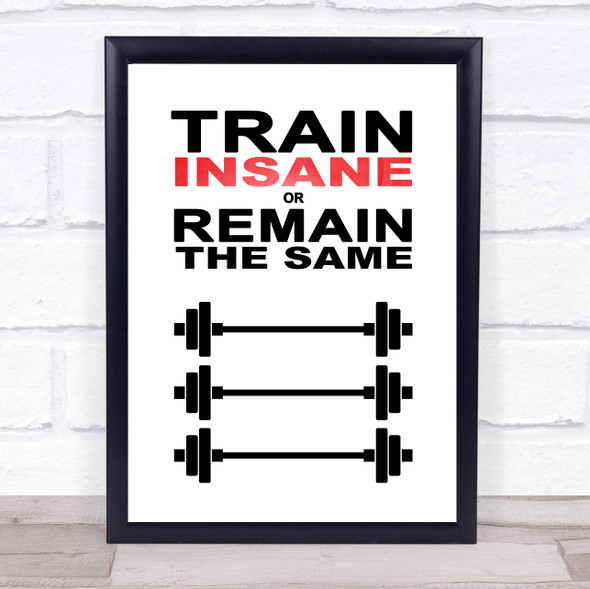 Train Insane Or Remain The Same Weights Quote Typogrophy Wall Art Print