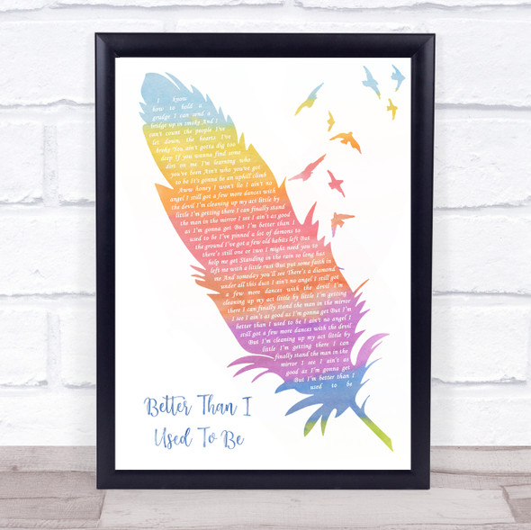 Tim McGraw Better Than I Used To Be Watercolour Feather & Birds Song Lyric Print