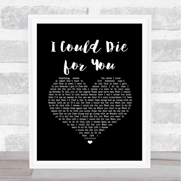 Red Hot Chili Peppers I Could Die for You Black Heart Song Lyric Music Art Print