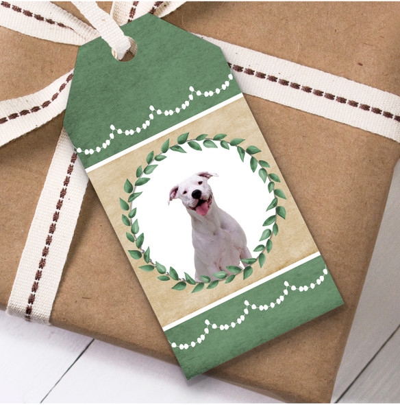 Dogo Argentino Dog Green Birthday Present Favor Gift Tags