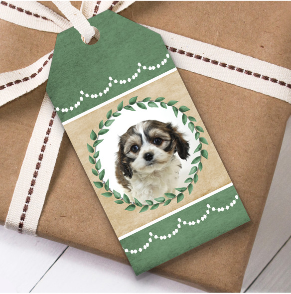 Cavachon Dog Green Birthday Present Favor Gift Tags