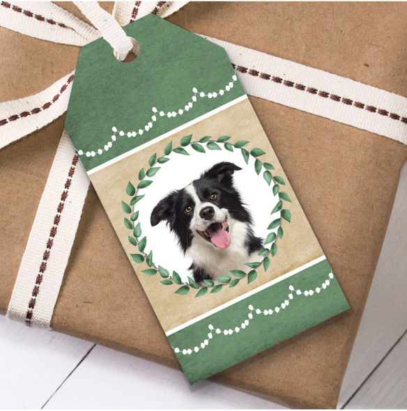 Border Collie Dog Green Birthday Present Favor Gift Tags