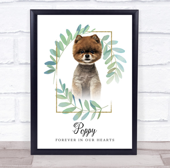 Pomeranian Short Hair Memorial Forever In Our Hearts Personalised Gift Print