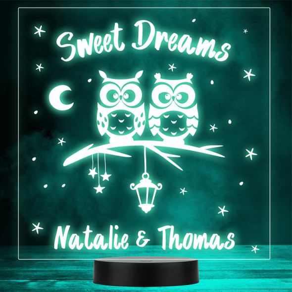 Sweet Dreams Owls Sitting On A Branch LED Personalised Gift Night Light