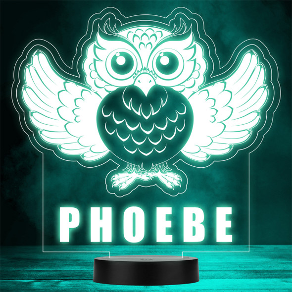 Cute Owl Spread Wings Bird Animal LED Personalised Gift Night Light