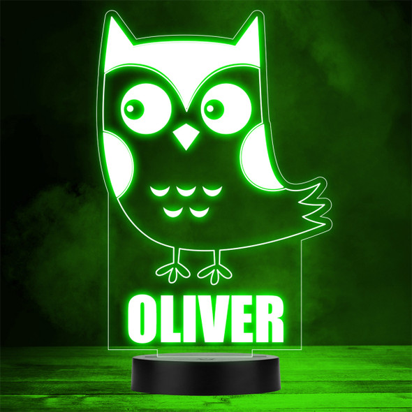 Cute Cartoon Owl Bird Animal Lover LED Personalised Gift Night Light