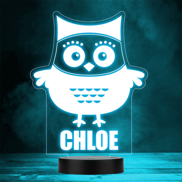 Cute Cartoon Owl Bird Animal Colour Change LED  Personalised Gift Night Light