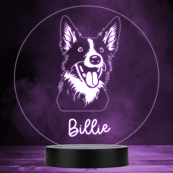 Keeshond Dog Pet Silhouette Multicolour Personalised Gift LED Lamp Night Light