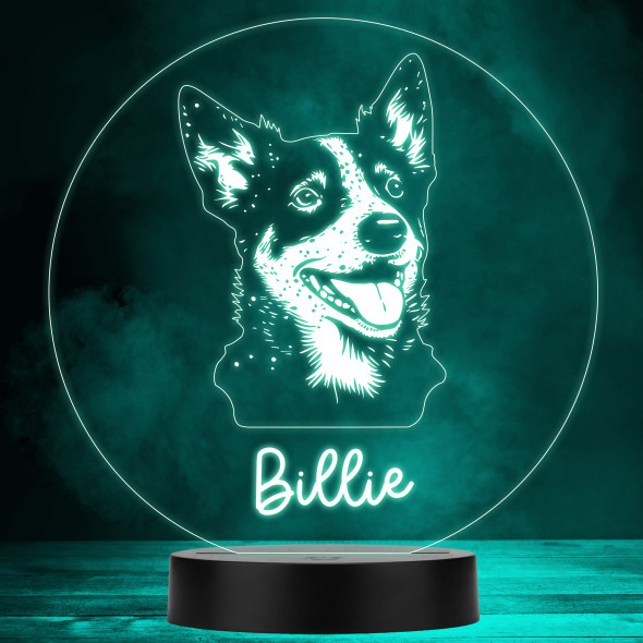 Blue Heller Dog Pet Multicolour Personalised Gift LED Lamp Night Light