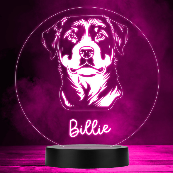 Rottweiler Dog Pet Silhouette Multicolour Personalised Gift LED Lamp Night Light