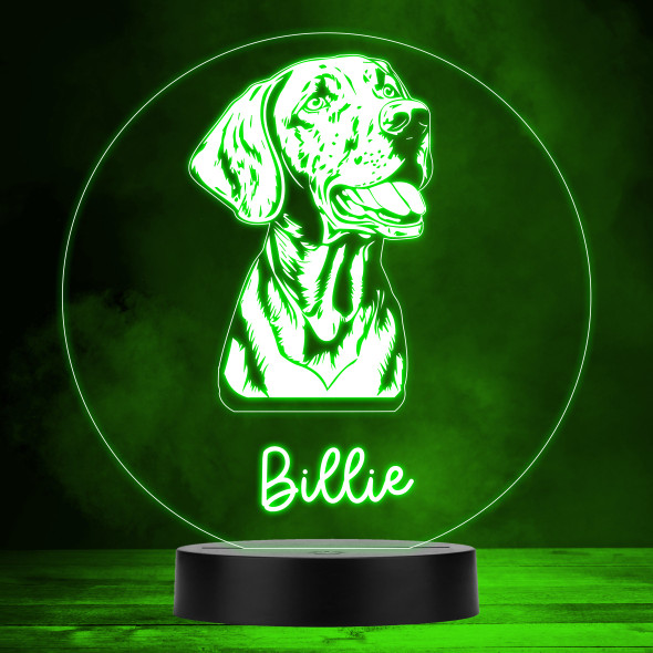 Vizsla Dog Pet Silhouette Colour Changing Personalised Gift LED Lamp Night Light