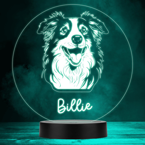 Australian Shepherd Dog Pet Multicolour Personalised Gift LED Lamp Night Light