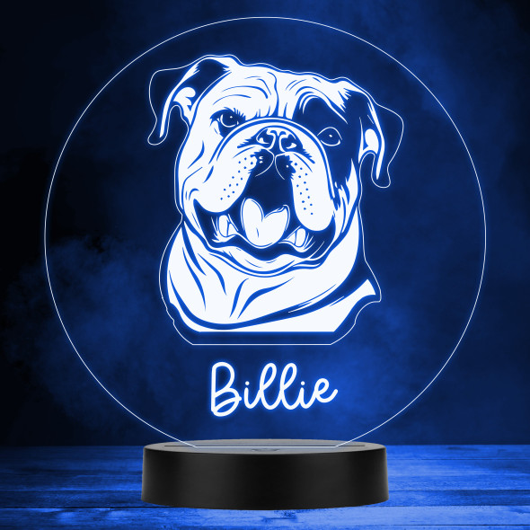 English Bulldog Dog Pet Multicolour Personalised Gift LED Lamp Night Light