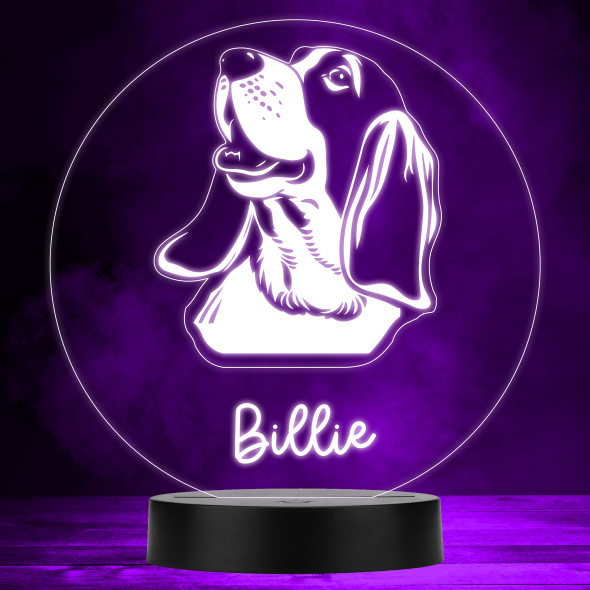 Basset Hound Dog Pet Multicolour Personalised Gift LED Lamp Night Light