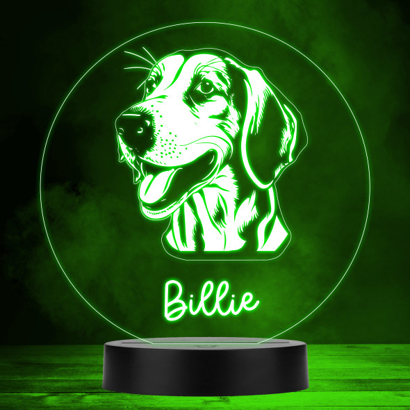 Foxhound Dog Pet Silhouette Multicolour Personalised Gift LED Lamp Night Light