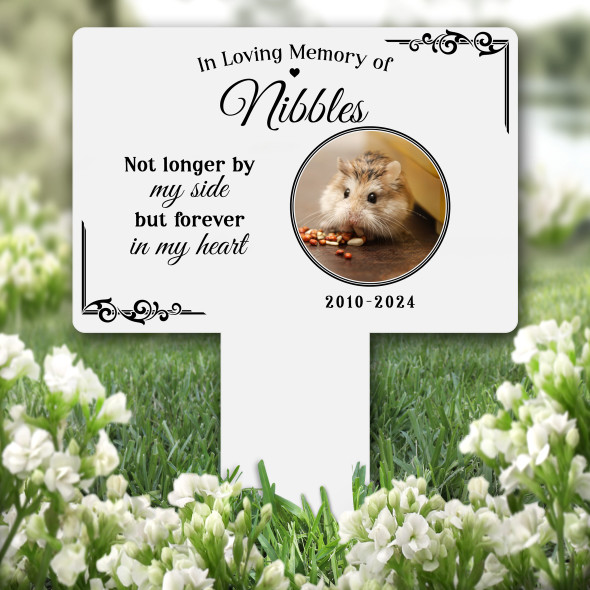 Forever In My Heart Any Pet Photo Pet Remembrance Grave Plaque Memorial Stake