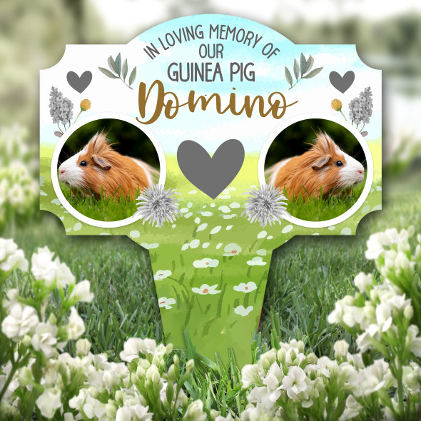 Loving Memory Our Guinea Pig Pet Photo Remembrance Grave Plaque Memorial Stake