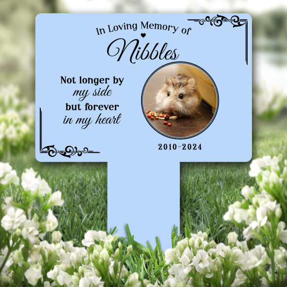 Forever In My Heart Any Pet Photo Pet Blue Grave Garden Plaque Memorial Stake
