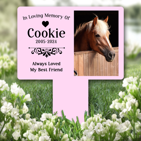Any Pet Photo Frame Pet Pink Remembrance Grave Garden Plaque Memorial Stake