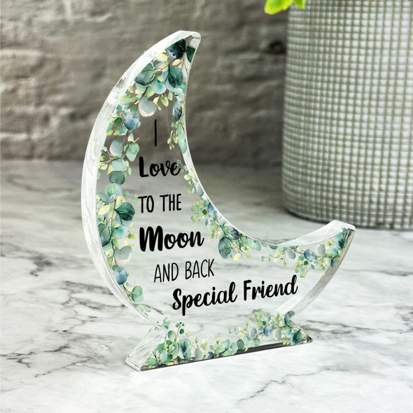 Love You To The Moon And Back Gift For Friend Moon Ornament Keepsake Plaque