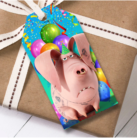 Birthday 12 Large Gift Tags The Secret Life of Pets Kids Birthday Design 3