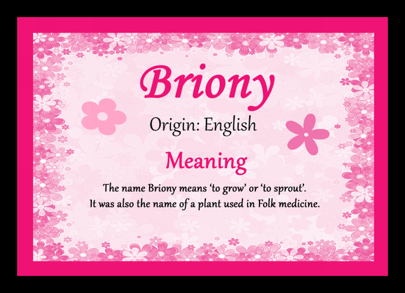 Briony Name Meaning Placemat