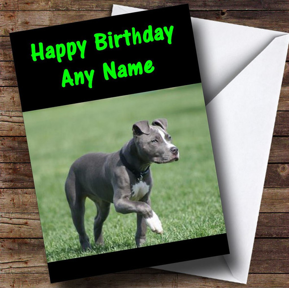 Pit Bull Dog Customised Birthday Card