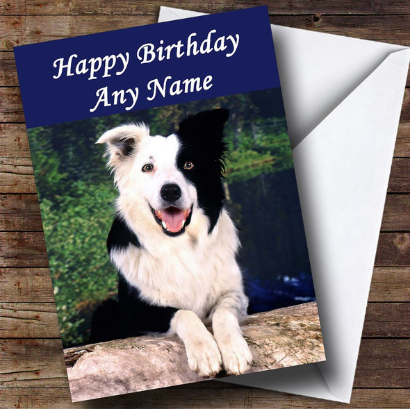 Border Collie Dog Customised Birthday Card