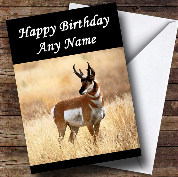 Antelope Customised Birthday Card