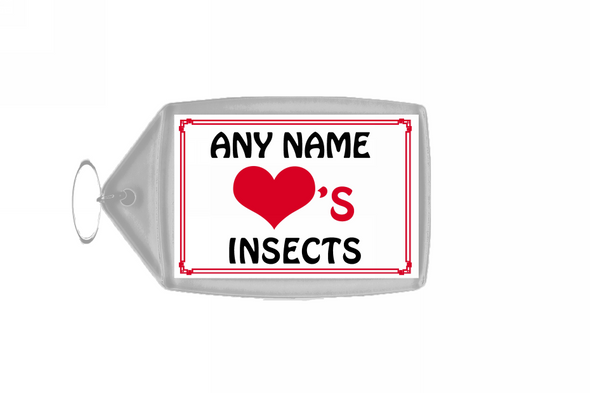 Love Heart Insects Keyring