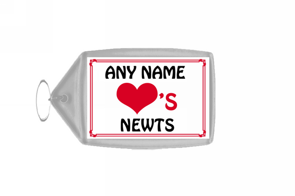 Love Heart Newts Keyring