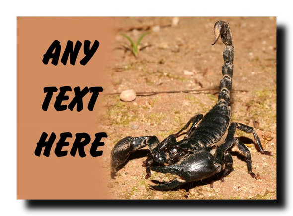 Scorpion Jumbo Magnet