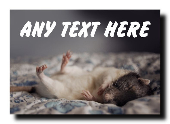 Sleeping Mouse Jumbo Magnet