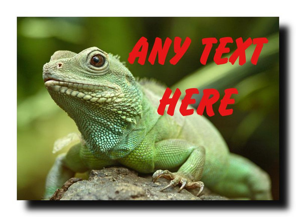 Green Lizard Jumbo Magnet