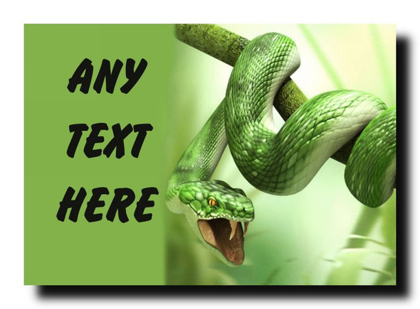 Green Snake Jumbo Magnet
