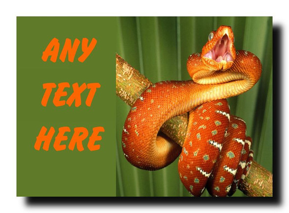 Orange Snake Jumbo Magnet