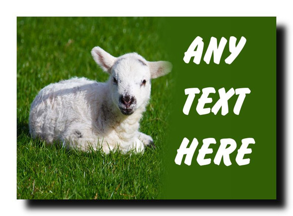 Lamb Jumbo Magnet
