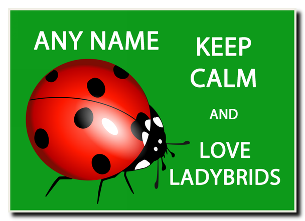 Keep Calm And Love Ladybirds Green Jumbo Magnet