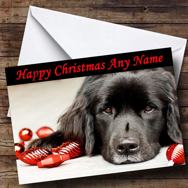 Black Dog & Xmas Decorations Customised Christmas Card