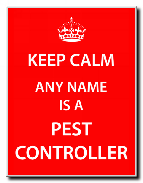 Pest Controller Keep Calm Jumbo Magnet