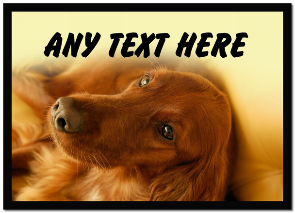Irish Setter Computer Mouse Mat