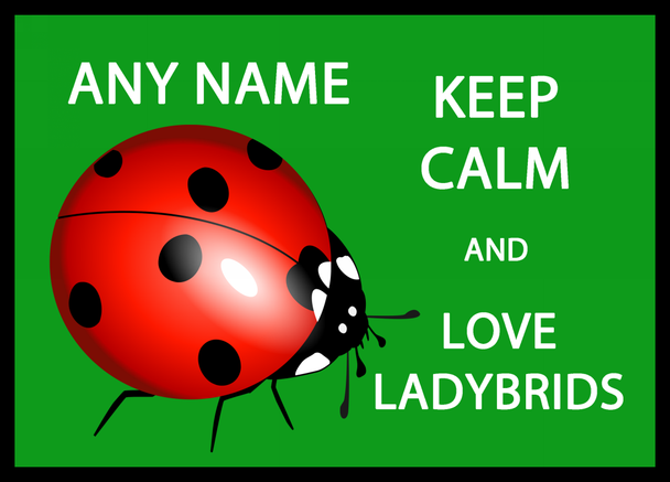 Keep Calm And Love Ladybirds Green Computer Mouse Mat
