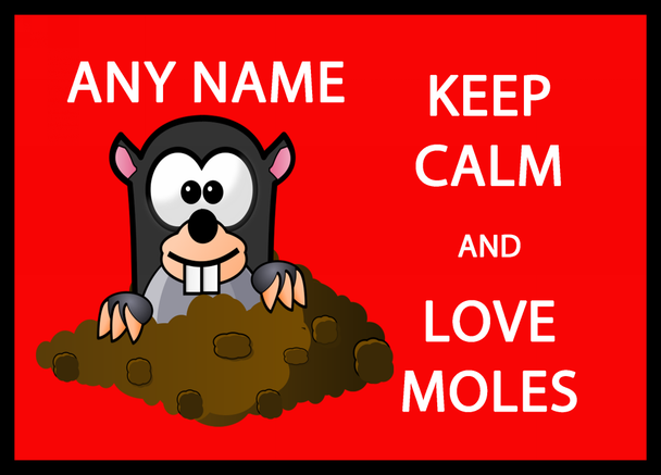 Keep Calm And Love Moles Computer Mouse Mat
