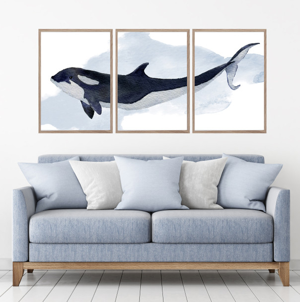 Orca Killer Whale Watercolour Set Of 3 Wall Art Home Decor Picture Framed Prints