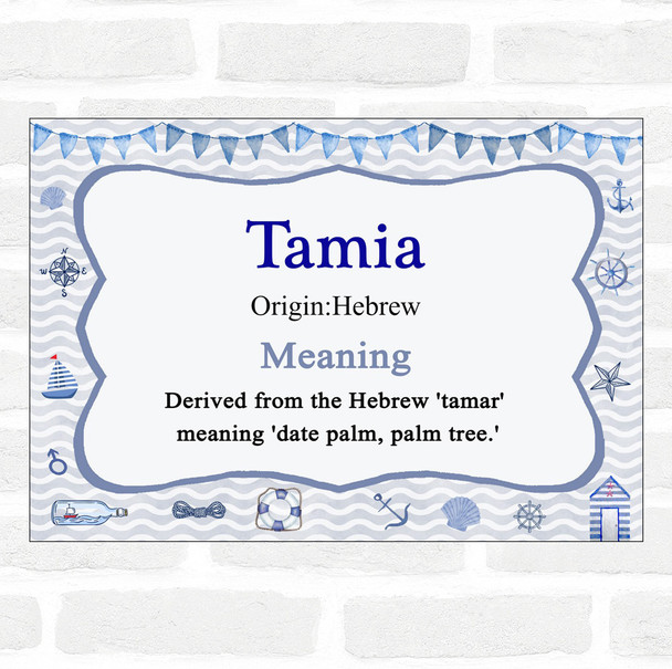 Tamia Name Meaning Nautical Certificate