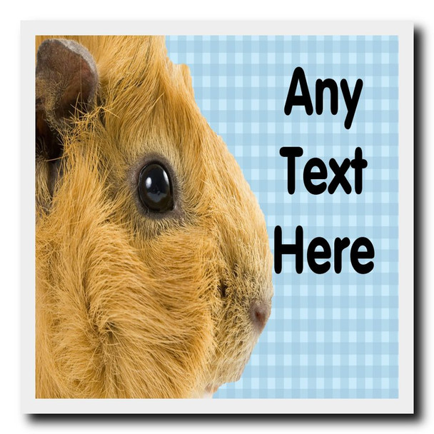 Guinea Pig Cute Blue Coaster