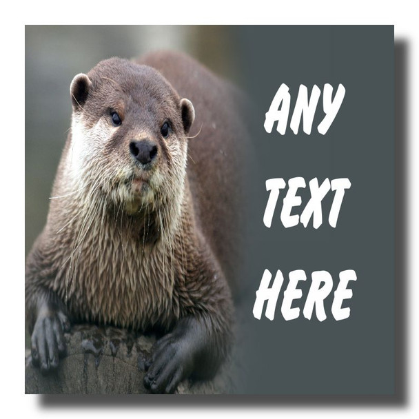 Otter Coaster
