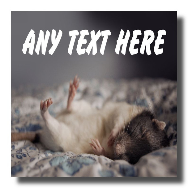 Sleeping Mouse Coaster